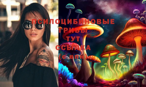 ПСИЛОЦИБИНОВЫЕ ГРИБЫ Гусь-Хрустальный