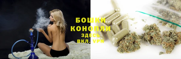 каннабис Новокубанск
