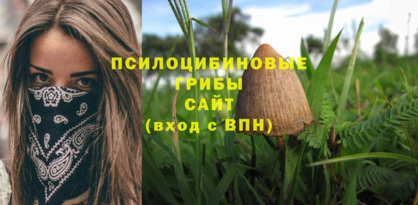 мдма Новозыбков