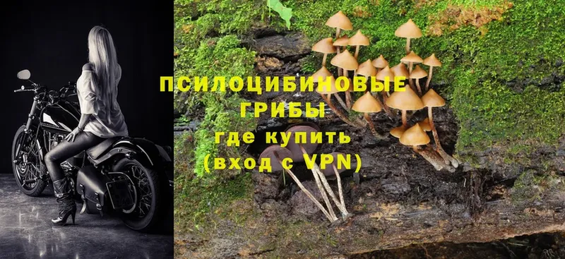 Псилоцибиновые грибы Magic Shrooms  Ленинск 